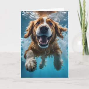 Söt Brun Hund Undervattenssimning Blått Vatten Kort