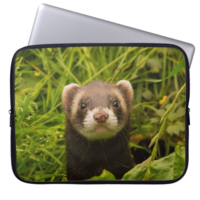 Söt Brun Iller i Gräset Foto Laptop Fodral (Framsidan)