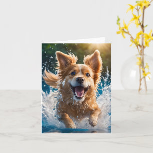 Söt brun och vit hund som stänker i vatten Blank Kort