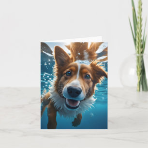 Söt brun och vit hund under vattnet simmande filt kort