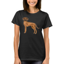 Söt brun Rhodesian Ridgeback afrikansk lejonhund