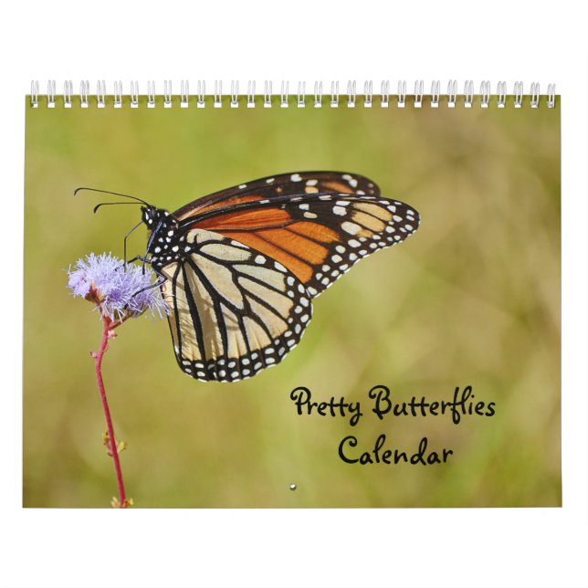 Söt Butterflies Butterfly Calendar Kalender (Omslag)