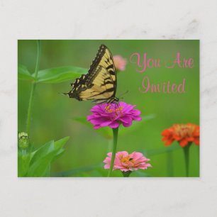 Söt Butterfly On Zinnia-inbjudan Vykort