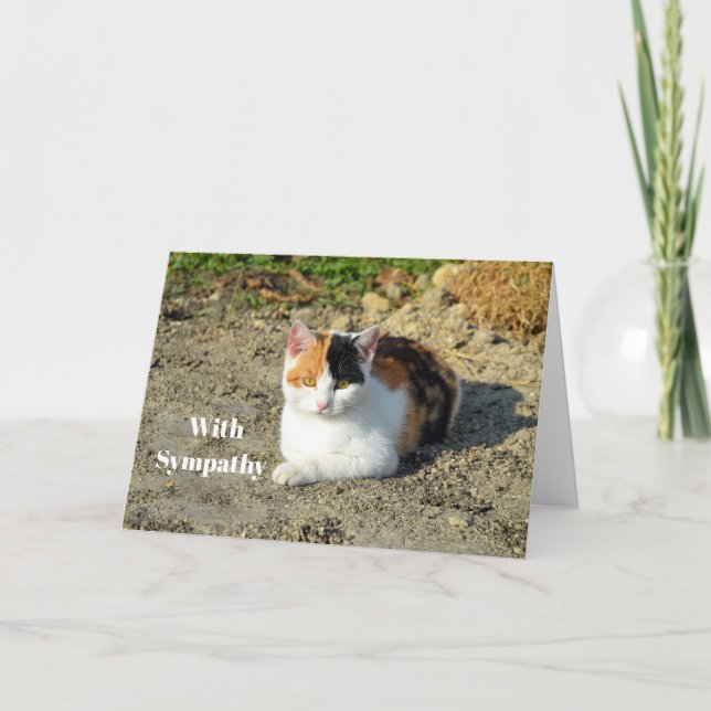 Söt Calico Cat Fotosympati Kort (Framsida)