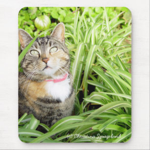 Söt Calico Cat Mousepad Musmatta