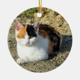 Söt Calico Cat Photo Julgransprydnad Keramik