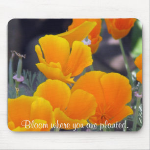 Söt California Poppies med offert Musmatta