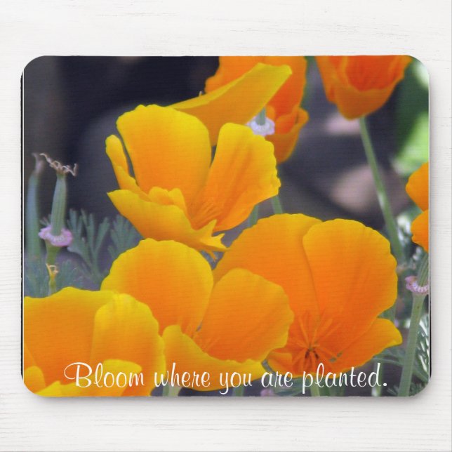 Söt California Poppies med offert Musmatta (Framsidan)