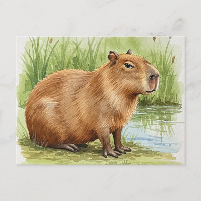 Söt Capybara vykort (Framsida)