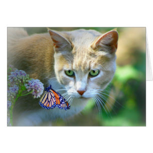 Söt Cat and Butterfly säger bara Hi Card Hälsningskort