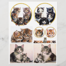 Söt Cat Illustrations inspirerad av H. Maguire