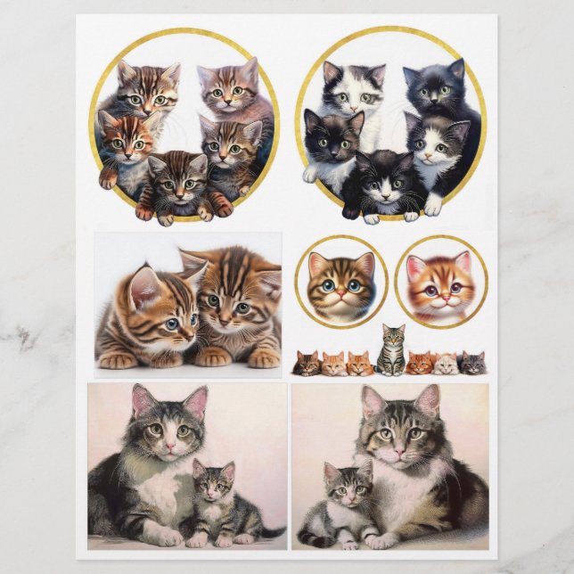 Söt Cat Illustrations inspirerad av H. Maguire (Framsida)