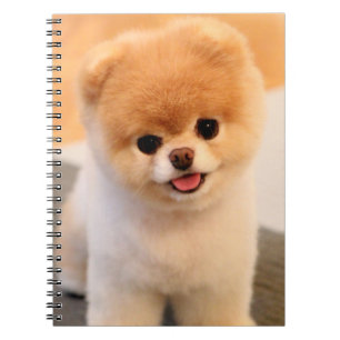 Söt Charming Pommern Unique Notebook Anteckningsbok