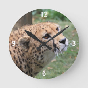 Söt Cheetah med att appellera ögon Rund Klocka