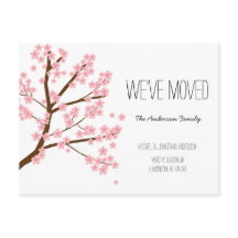 Söt Cherry Blommars Sakura Träd Vi har flyttat