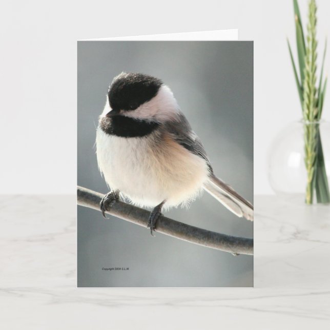Söt Chickadee-kort Kort (Framsida)