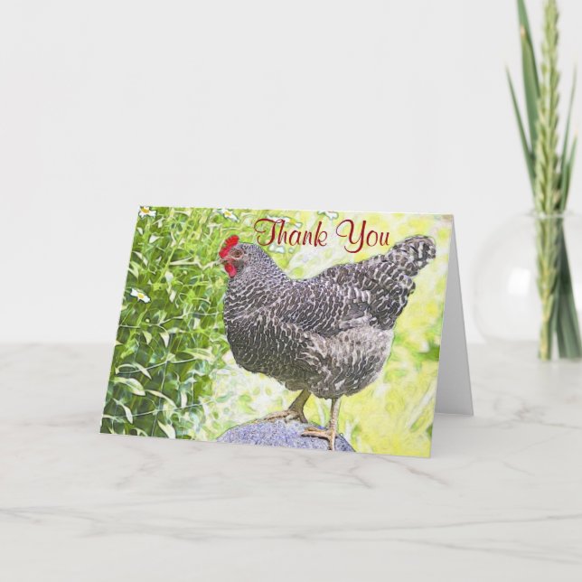 Söt Chicken - tackkort (Framsida)