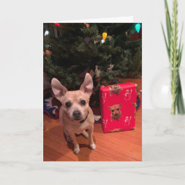 Söt Chihuahua Hund Jul Faltad Högtidskort Helgkort