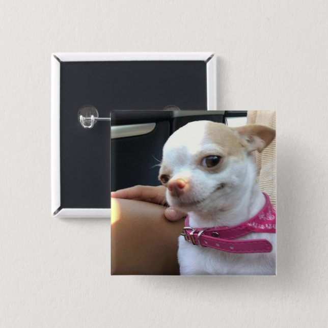 Söt Chihuahua Hund Meme Pin Button Knapp (Framsida & baksida)