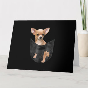 Söt Chihuahua i din ficka jul Kort