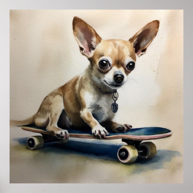 Söt chihuahua sitta på skateboard poster (Framsidan)