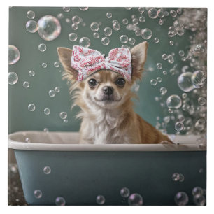 Söt Chihuahua skumbad Kakelplatta