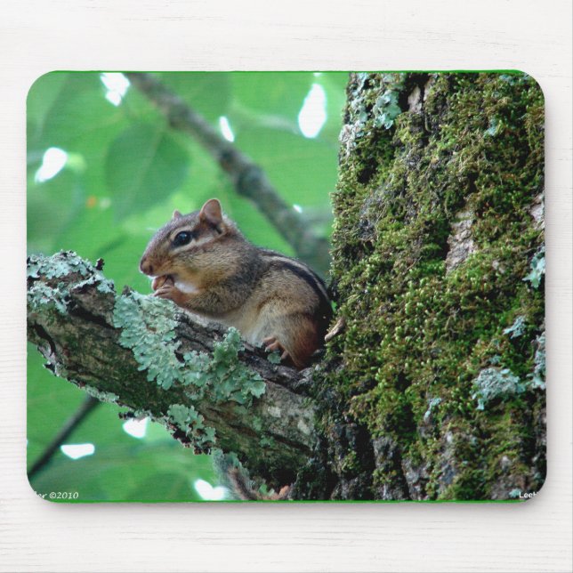 Söt Chipmunk i Träd-apparat och -gåvor Musmatta (Framsidan)