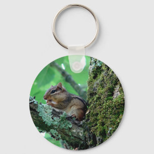 Söt Chipmunk i Träd-apparat och -gåvor Nyckelring