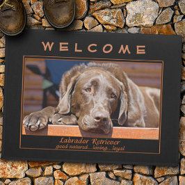 Söt Chocolate Labrador Retriever Photo Template