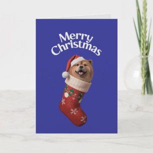 Söt Chow Chow Hund Jul Kort