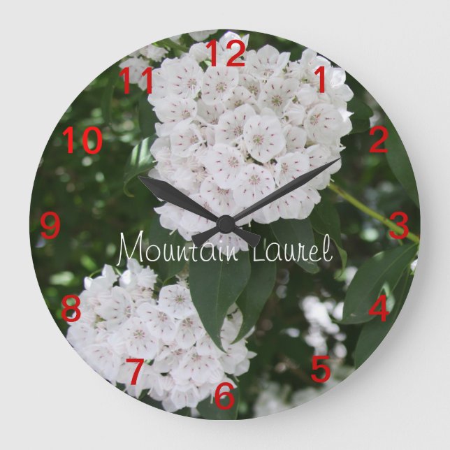Söt Close Mountain Flowers Wall Clock Stor Klocka (Framsida)
