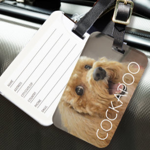 Söt Cockapoo Hund Husdjur Djur Hundälskare Resa Bagagebricka