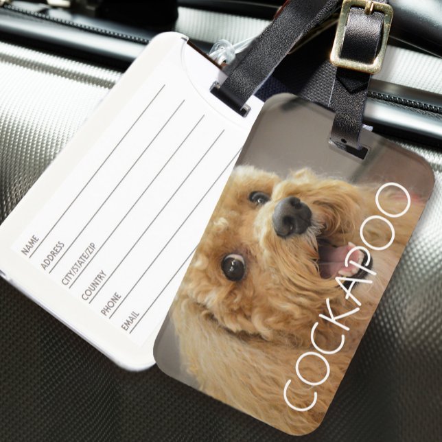 Söt Cockapoo Hund Husdjur Djur Hundälskare Resa Bagagebricka (Cute Cockapoo Dog Pet Animal Dog Lover Travel Luggage Tag)