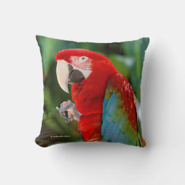 Söt Colorful Grönt-Winged Macaw Parrot Bird Kudde