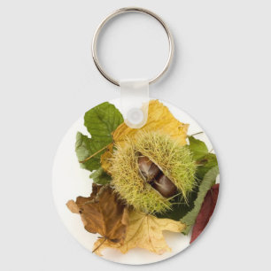 Söt Conker med löv Nyckelring