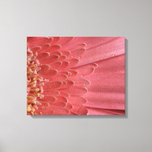 Söt Coral Rosa Gerbera Daisy Canvastryck