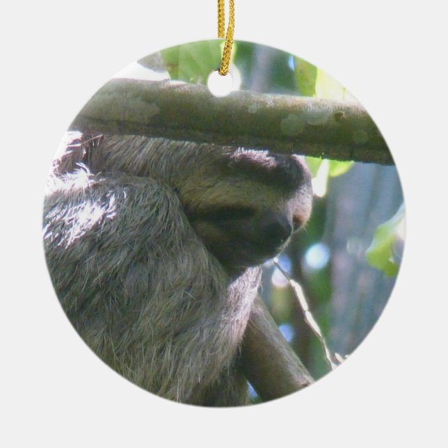 Söt Costa Rica Sengångare Ornament (Framsidan)