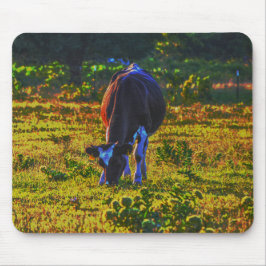 Söt Cow Texas Art Mouse Pad Musmatta