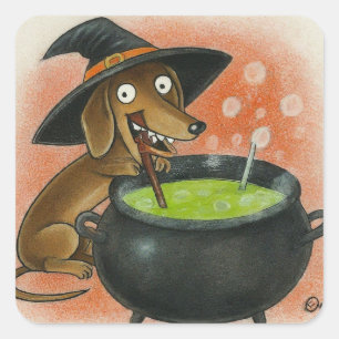 Söt Dachshund-Häxa Fyrkantigt Klistermärke