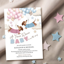 Söt Dachshund Wiener Dog Könsbestämning Baby