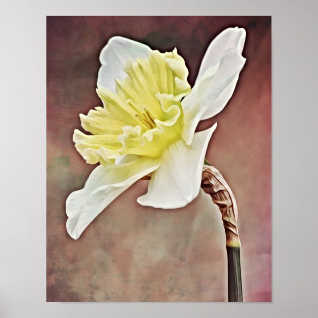 Söt Daffodil Flower Photographic Art Print Poster (Framsidan)