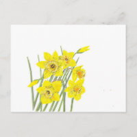 Söt Daffodils