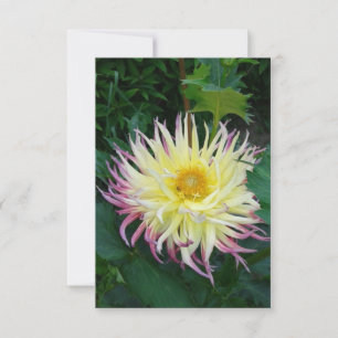 Söt Dahlia Flower Kort