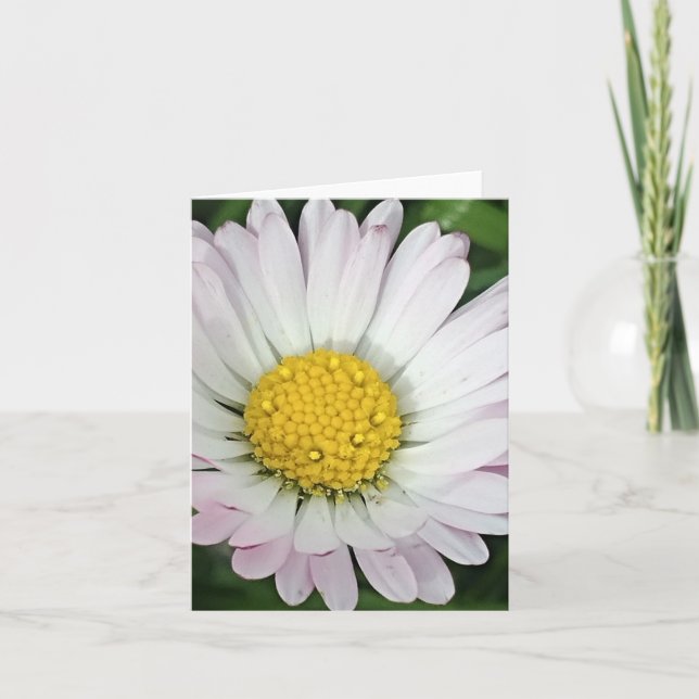 Söt daisy anteckningskort (Framsida)