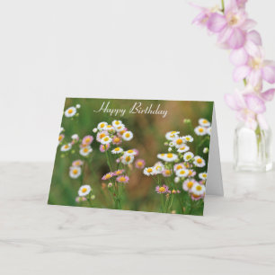 Söt Daisy Birthday Kort