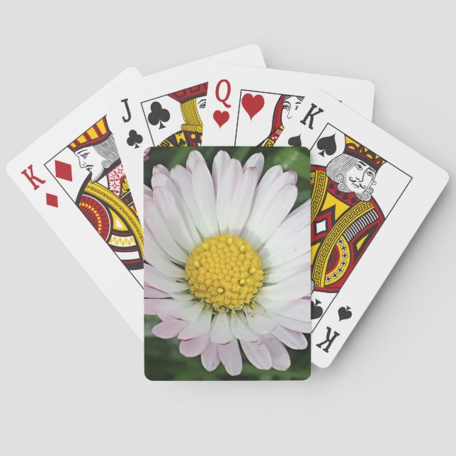 Söt daisy casinokort (Baksidan)