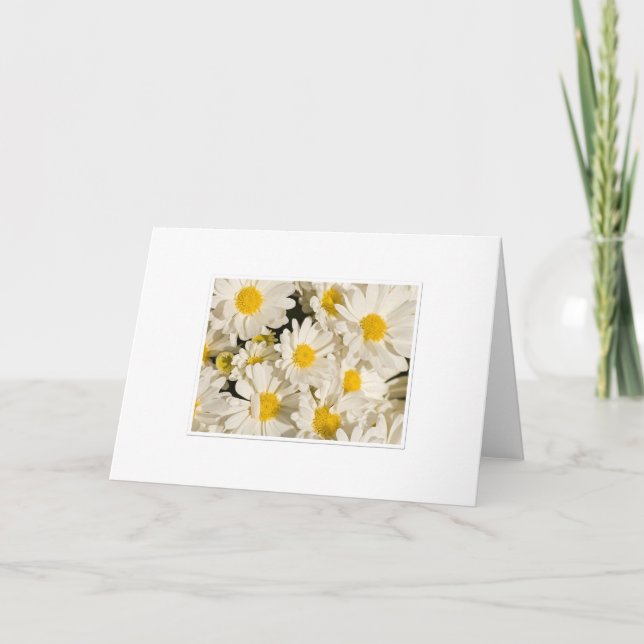 Söt Daisy Hälsning Kort (Framsida)