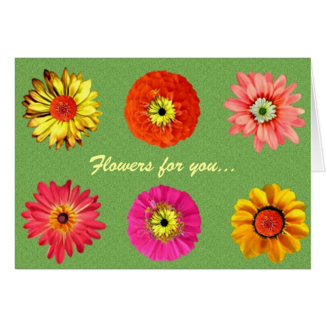 Söt Daisy Hälsningskort (Framsidan Horizontal)