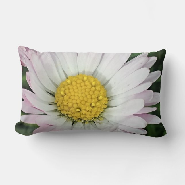 Söt daisy lumbarkudde (Framsida)