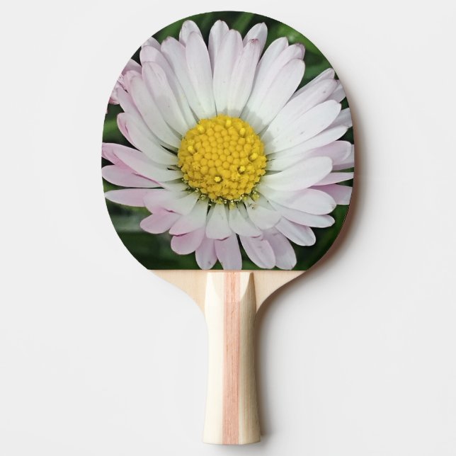 Söt daisy pingisracket (Framsidan)